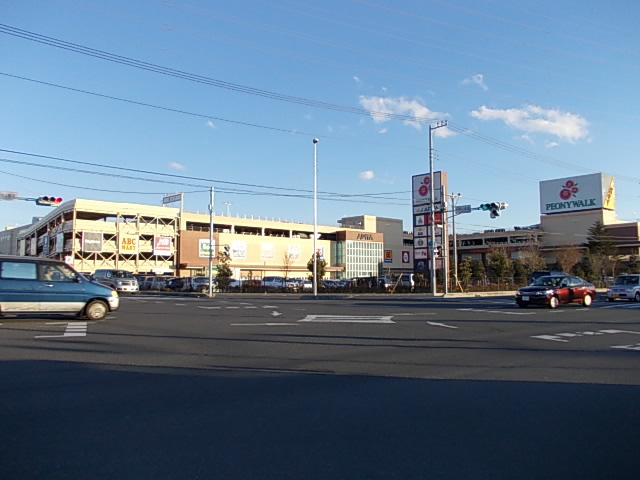 ショッピングセンター　ピオニーウォーク東松山店（ショッピングセンター）まで1200m