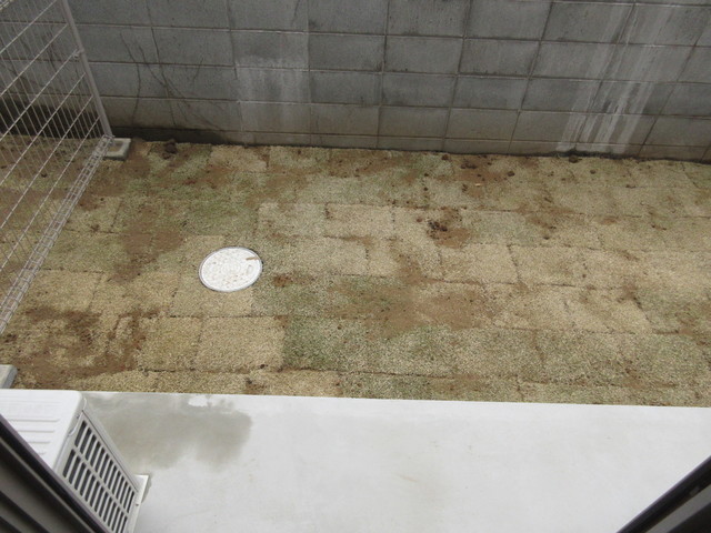 庭　★専用庭★