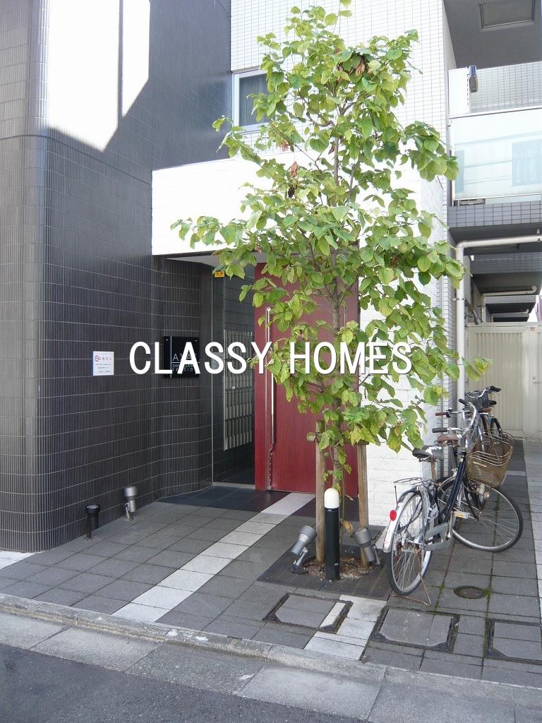 エントランス　2007年竣工　分譲賃貸マンション：エントランス