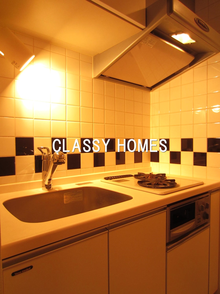 キッチン　2007年竣工　分譲賃貸マンション：キッチン