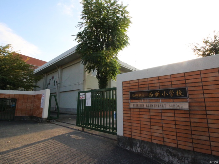 小学校　福岡市立西新小学校（小学校）まで254m