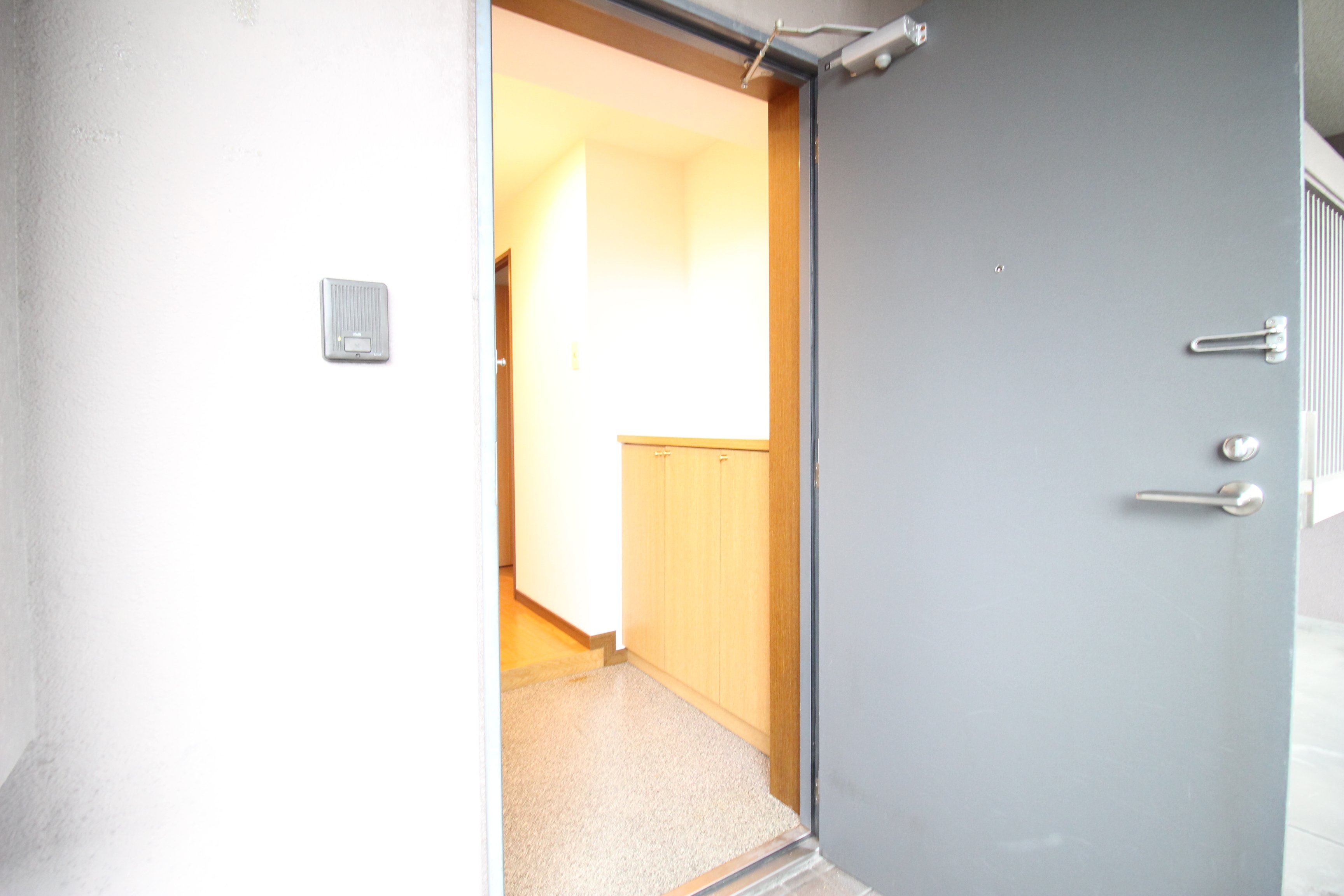 玄関　参考写真