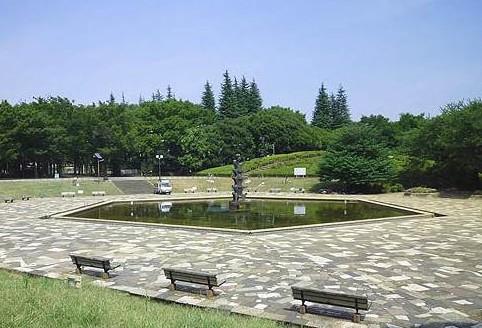 公園　世田谷公園（公園）まで1060m