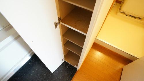 玄関　同タイプ物件の為、実際とは多少異なる場合がございます。