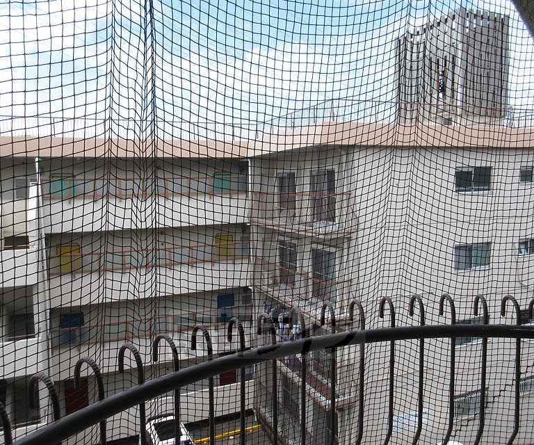 眺望　ネットがあって安心です！