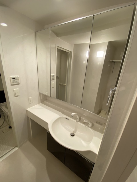 洗面設備　準備が捗る独立タイプ。