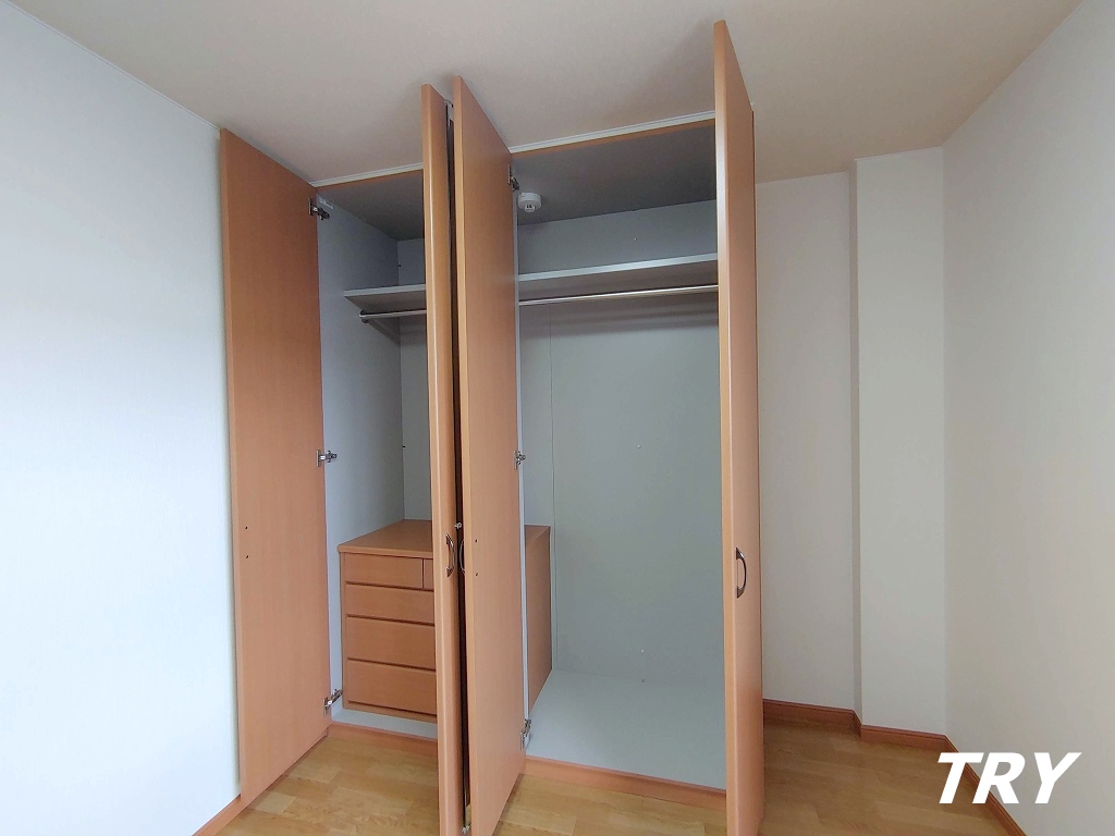 収納　クローゼット内にタンスあり