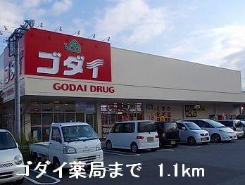 その他　ゴダイドラッグまで1100m