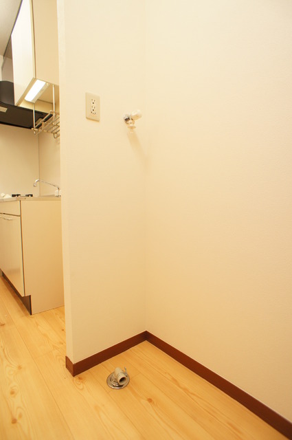 その他　洗濯機置場の横にスペースもあるので収納ラックも置けますね！