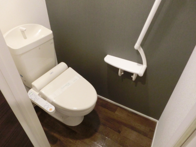 トイレ　同一建物２０３号室の写真掲載