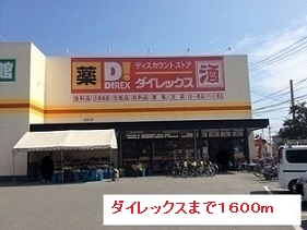 その他　ダイレックス（その他）まで1600m