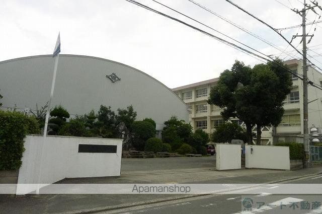 小学校　石井小学校（小学校）まで541m