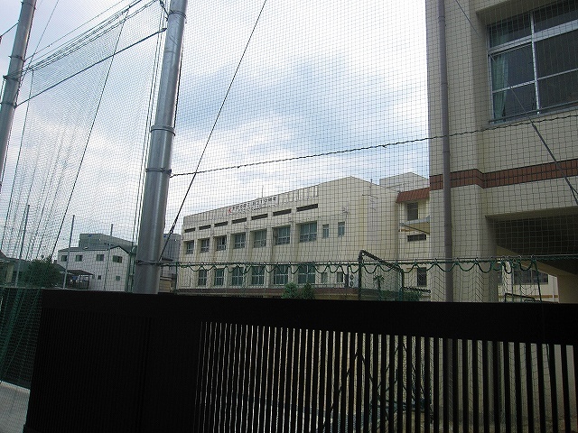 小学校　野田小学校（小学校）まで53m