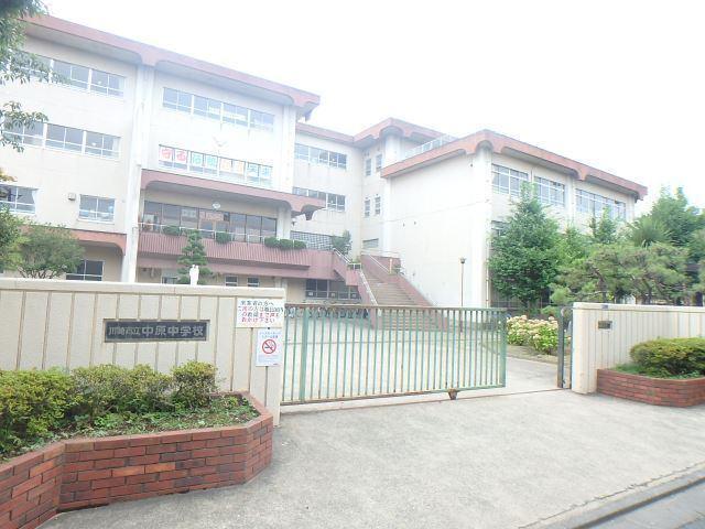中学校　川崎市立中原中学校（中学校）まで800m