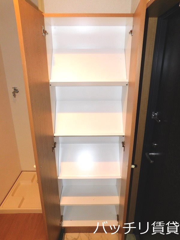 玄関　＊画像は別部屋の為イメージ、現状を優先致します