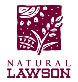 コンビニ　ナチュラルローソン NLDNP加賀町アトリウム店（コンビニ）まで457m