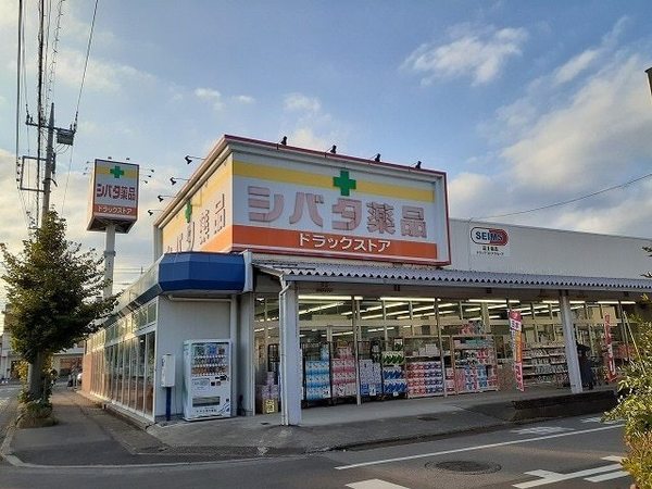 ドラックストア　シバタ薬品住吉店（ドラッグストア）まで664m