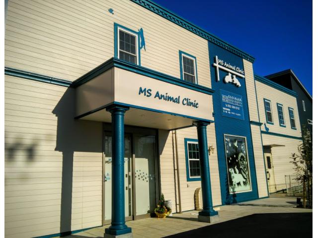 病院　MSAnimalClinic（病院）まで859m