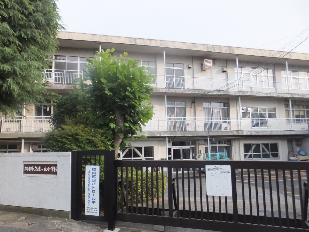 小学校　調布市立 緑ヶ丘小学校（小学校）まで977m