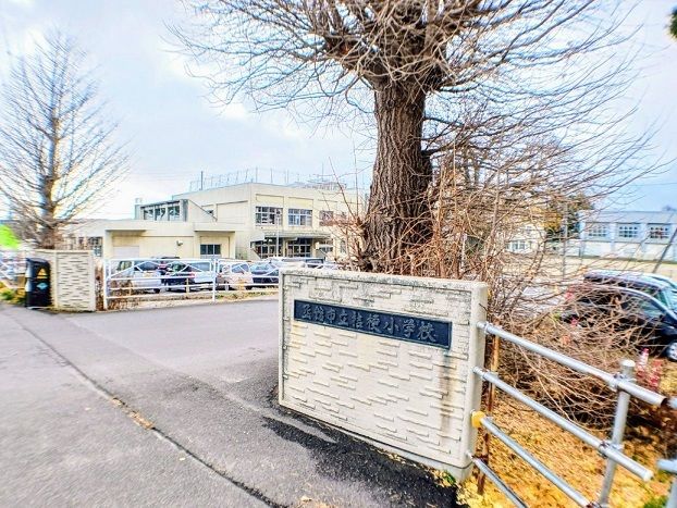 小学校　函館市立桔梗小学校（小学校）まで550m