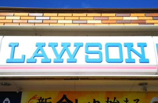 その他　ローソン一宮小信中島南店（その他）まで422m