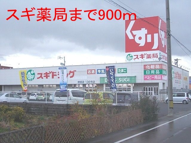ドラックストア　スギ薬局　穂積店（ドラッグストア）まで900m