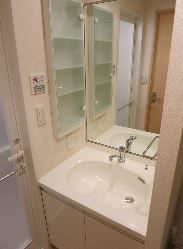 洗面設備　（別タイプ参考写真）プルス上十条　北区上十条1