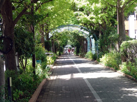 公園　大島緑道公園（公園）まで513m