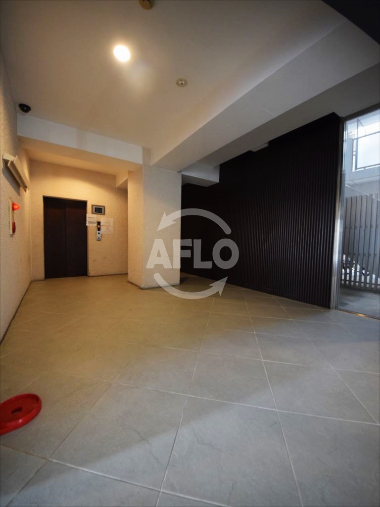 エントランス　エルミタージュ難波南II　エントランス