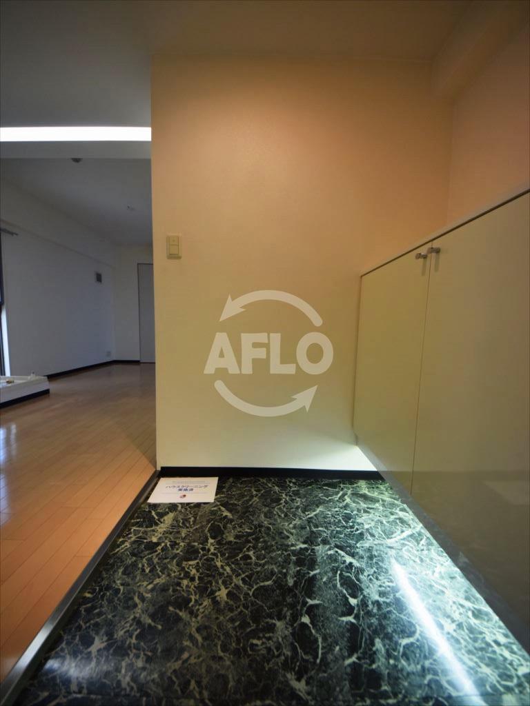 玄関　エルミタージュ難波南II　玄関