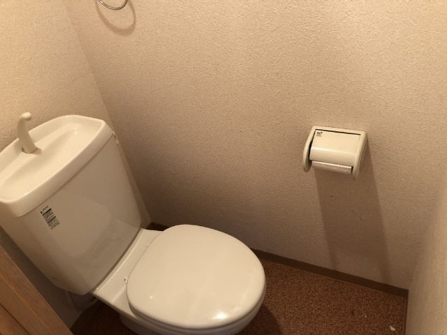 グリーンハイツ1のトイレ写真
