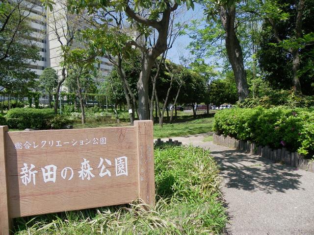 公園　新田の森公園（公園）まで365m