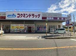 ドラックストア　コクミンドラッグ御崎店（ドラッグストア）まで323m