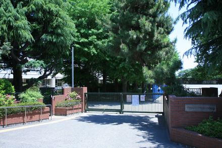 小学校　川崎市立下沼部小学校（小学校）まで1064m