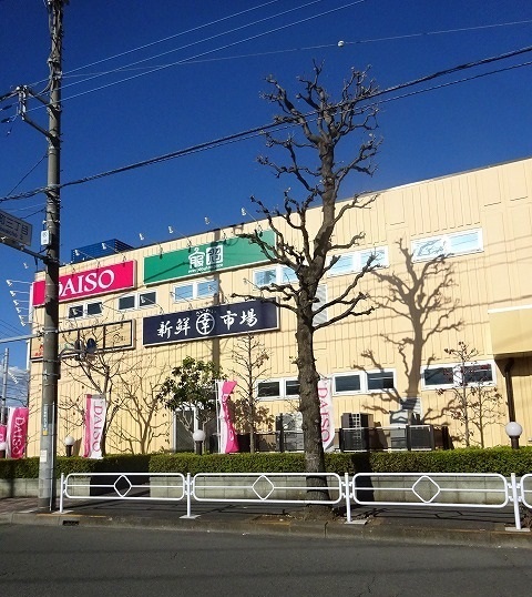 ショッピングセンター　ダイレックス（ショッピングセンター）まで260m