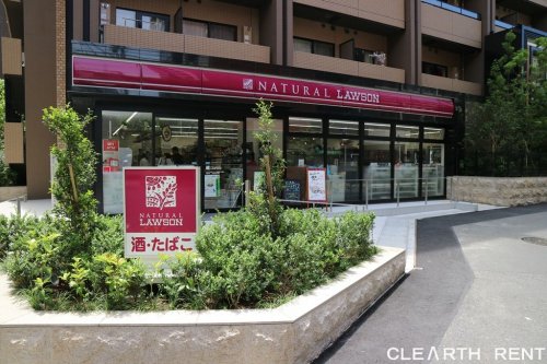コンビニ　ナチュラルローソン NL広尾五丁目店（コンビニ）まで241m