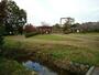 公園　大沢川親水公園（公園）まで500m