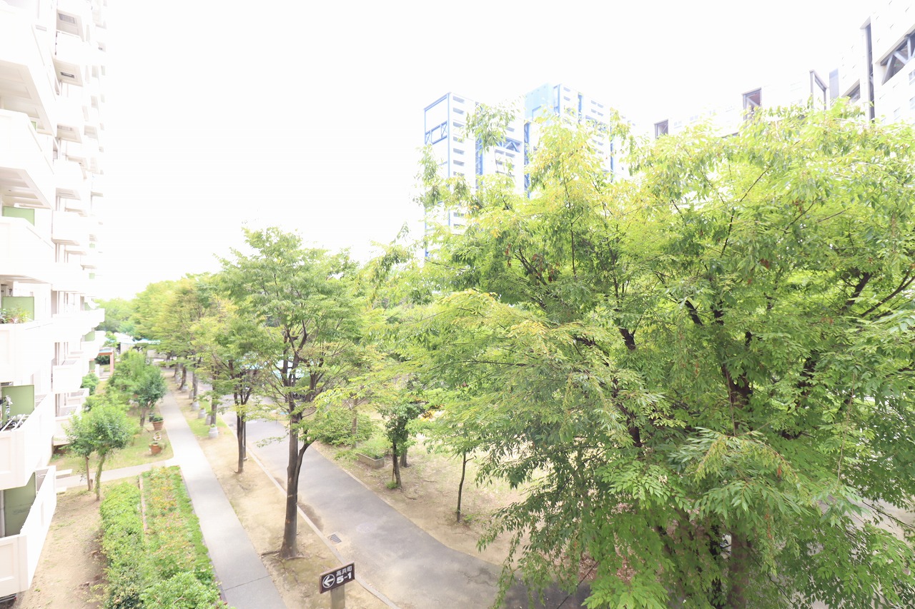 眺望　バルコニー側からの眺望、南向きです。