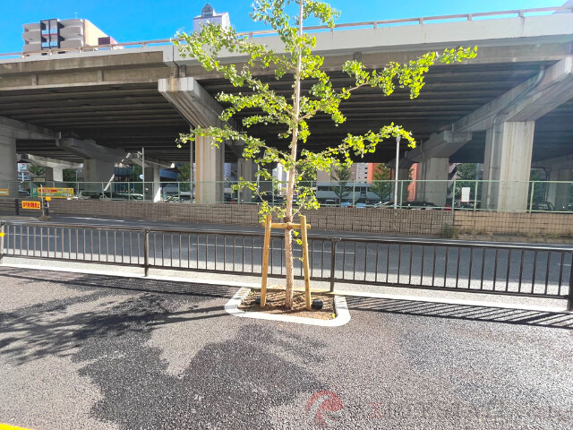 その他　周辺（その他）まで10m