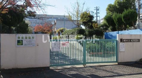 中学校　堺市立鳳中学校（中学校）まで1093m