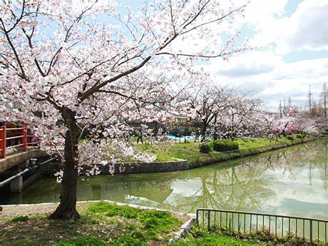 公園　桃ケ池公園（公園）まで1319m