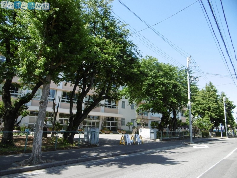 小学校　新潟市立中野山小学校（小学校）まで298m
