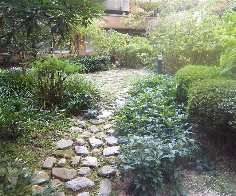 庭
