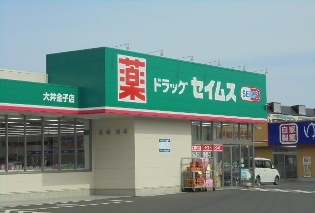 その他　セイムズ大井金子店まで50m