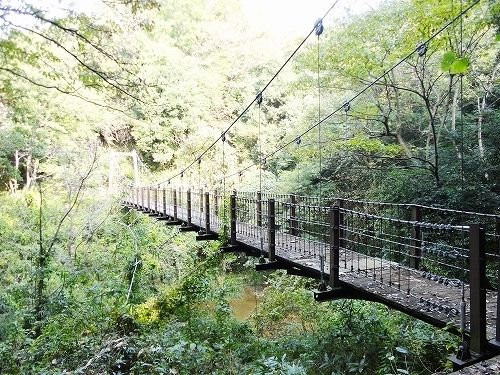公園　蓮生寺公園（公園）まで400m