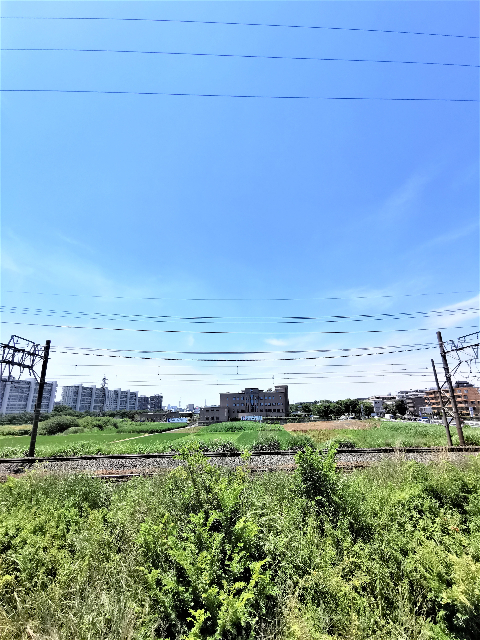 眺望　別室参考写真