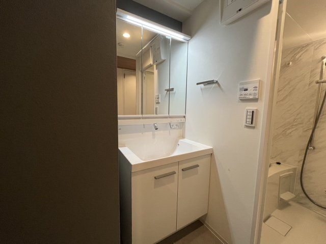 洗面設備　BLESTON COURT KANAYAMA