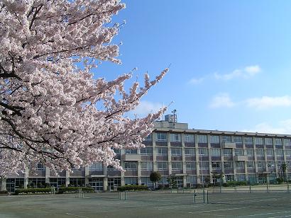 中学校　川越市立鯨井中学校（中学校）まで1272m