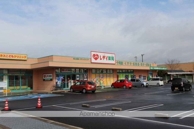 ドラックストア　レデイ薬局十川店（ドラッグストア）まで1077m