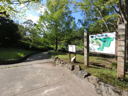 公園　泉谷公園（公園）まで658m
